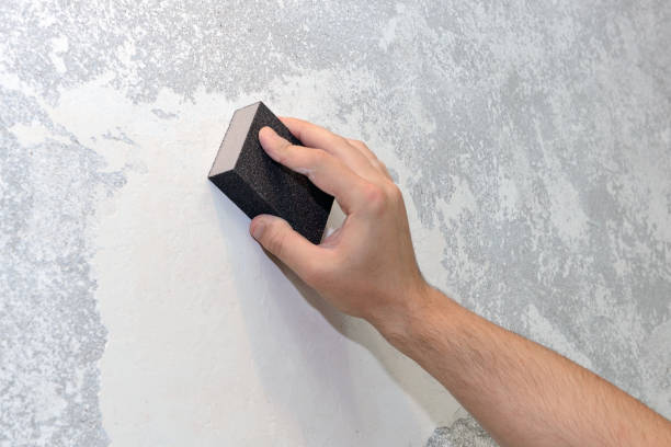 Best Basement Mold Removal  in Demorest, GA