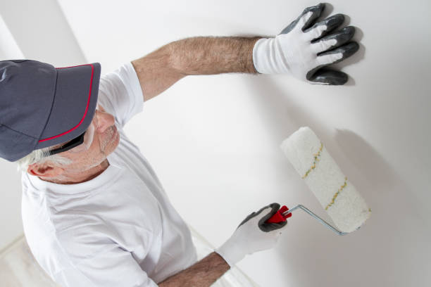Best Residential Mold Inspection & Testing  in Demorest, GA