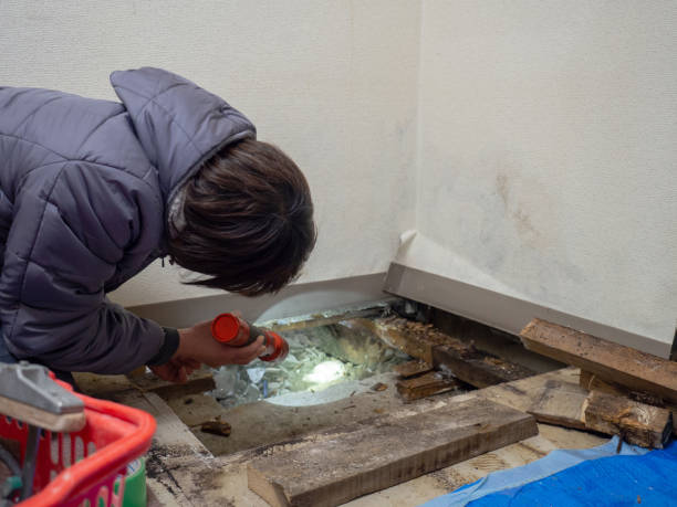 Best Post-Remediation Verification Testing  in Demorest, GA