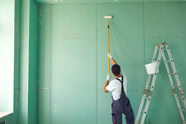 Dehumidification Services in Demorest, GA
