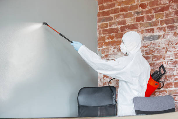 Best Dehumidification Services  in Demorest, GA