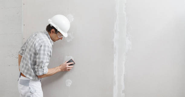 Best Crawl Space Mold Remediation  in Demorest, GA