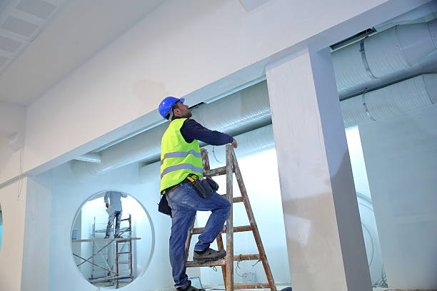 Best Mold Damage Restoration  in Demorest, GA