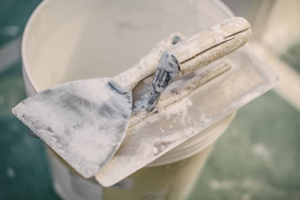Best Asbestos and Lead Testing During Mold Inspection  in Demorest, GA