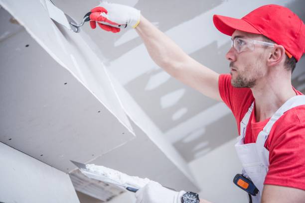  Demorest, GA Mold Removal Pros